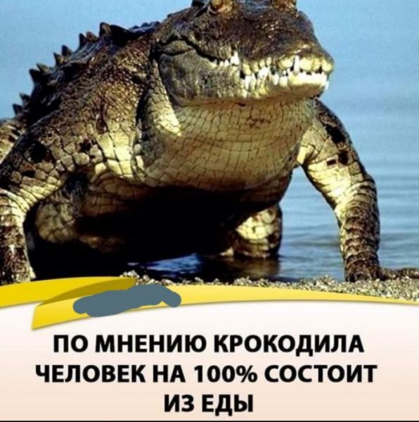 Юмор на любителя