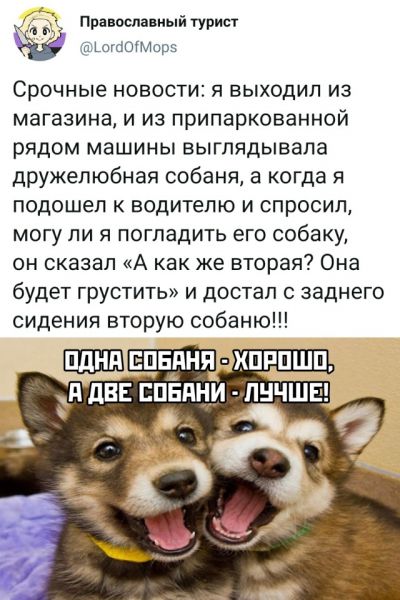 Прикольчики 21.02.20