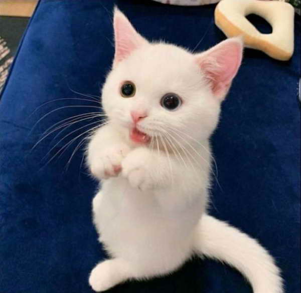 Смешные фото 18 мая 2020 Смешные фото 18 мая 2020