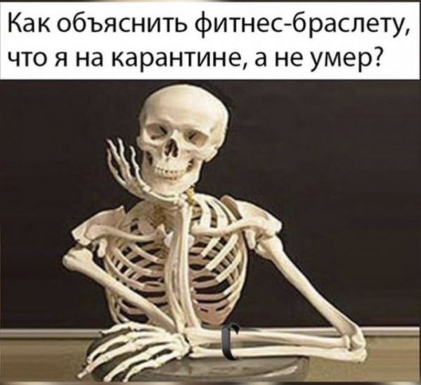 Алкоголизм, ожирение и удаленка: как выживают люди на карантине. Лучшие мемы в Сети Алкоголизм, ожирение и удаленка: как выживают люди на карантине. Лучшие мемы в Сети