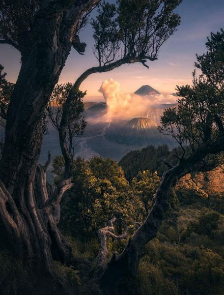 Самые крутые фотографии природы с фотоконкурса «Landscape Photographer of the Year 2018» Самые крутые фотографии природы с фотоконкурса «Landscape Photographer of the Year 2018»
