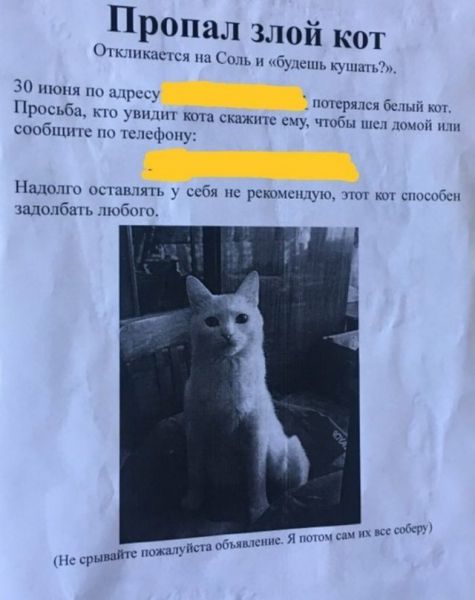 Смешные объявления о пропавших животных Смешные объявления о пропавших животных