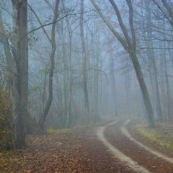Фотограф поэтапно показал, как Photoshop превращает обычный кадр в "волшебный" (33 фото)