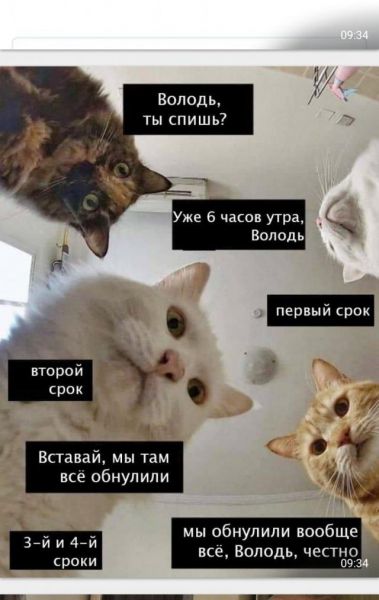 «Обнуляй и властвуй»: лучшие мемы Сети про обнуление президентских сроков Владимира Путина «Обнуляй и властвуй»: лучшие мемы Сети про обнуление президентских сроков Владимира Путина