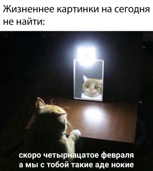 Вечерние прикольчики