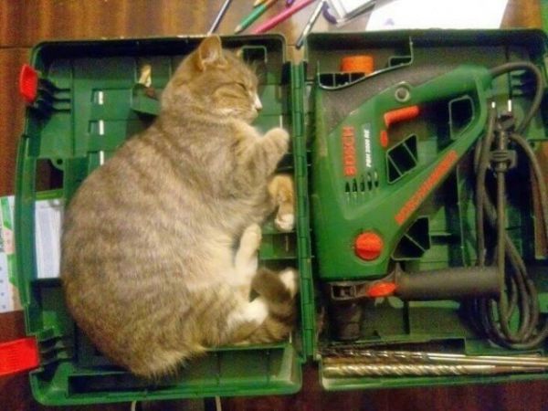 Места и вещи, которым не место рядом