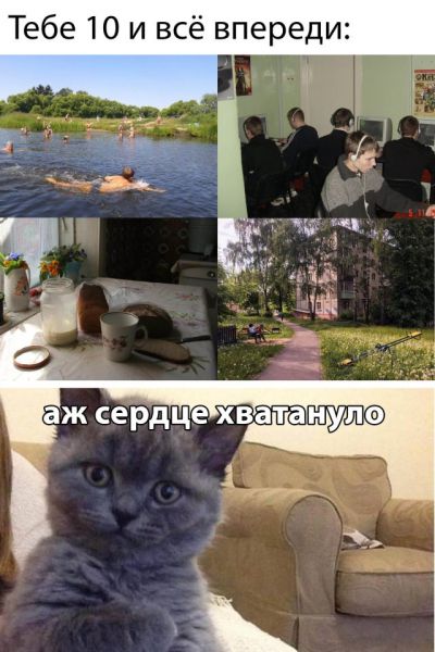 Смешные картинки 10 марта Смешные картинки 10 марта