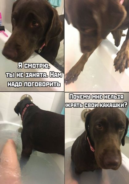 Прикольчики