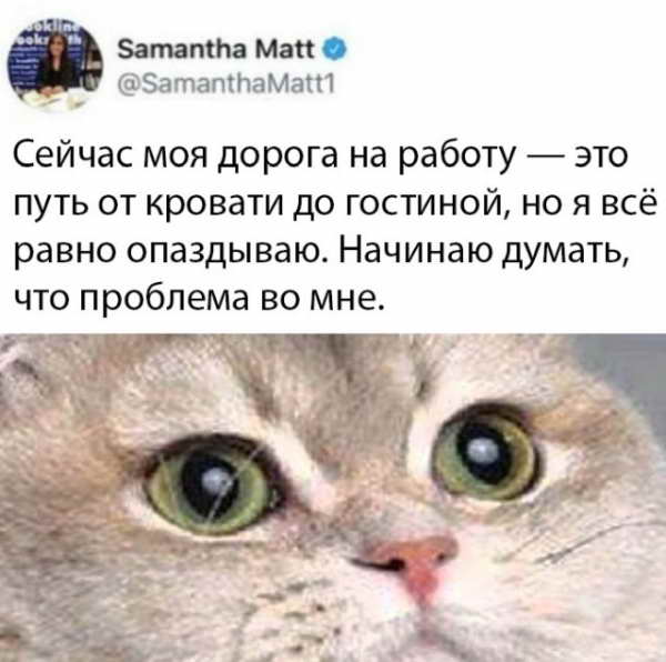 Смешные картинки 20 мая 2020 Смешные картинки 20 мая 2020