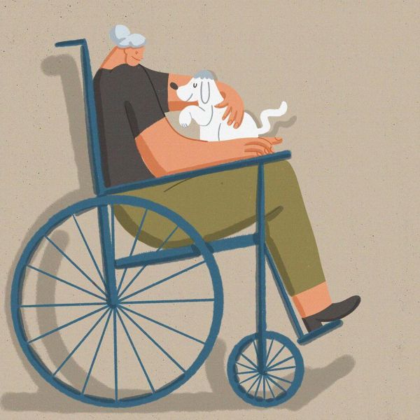 Без кота жизнь не та! Организаторы проекта «Счастье с доставкой на дом» проведут второй онлайн-марафон