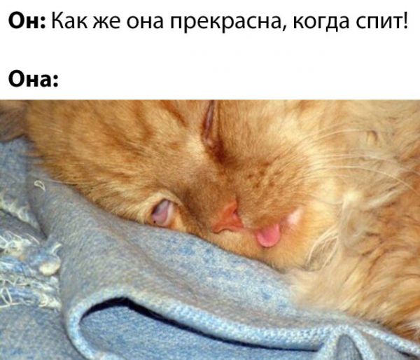 Смешные картинки 12 мая 2020