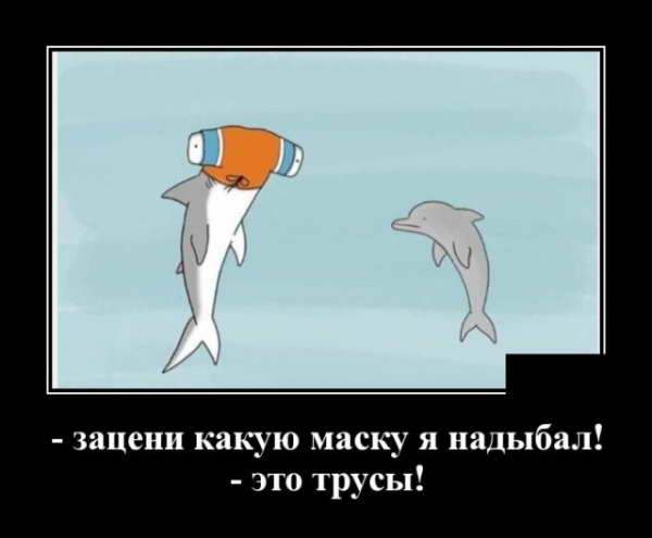 Демотиватор про акул