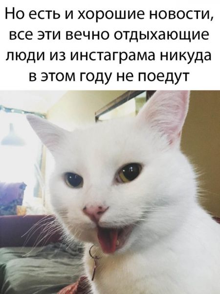 Веселые картинки утро 13 марта
