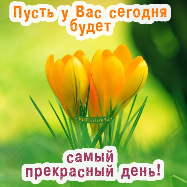Пусть у Вас сегодня будет самый прекрасный день!