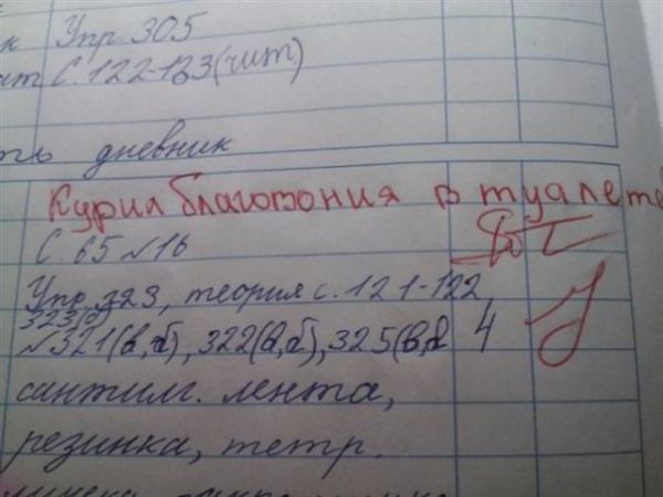 16 записей в дневнике, от смеха можно надорвать живот