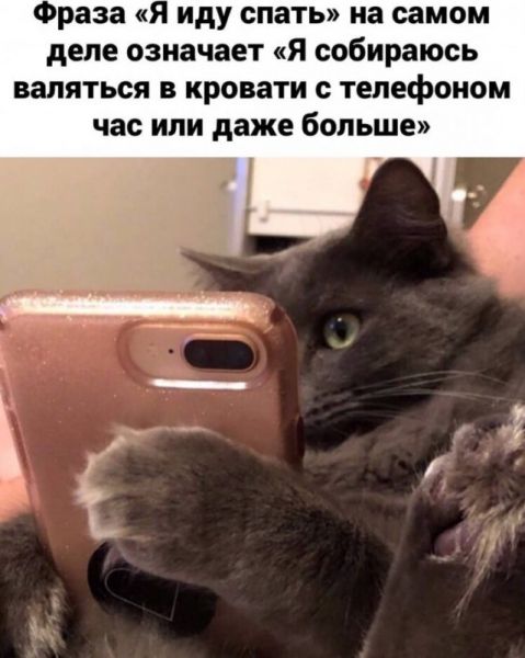 Вечерние прикольчики