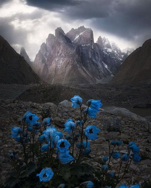 Самые крутые фотографии природы с фотоконкурса «Landscape Photographer of the Year 2018» Самые крутые фотографии природы с фотоконкурса «Landscape Photographer of the Year 2018»