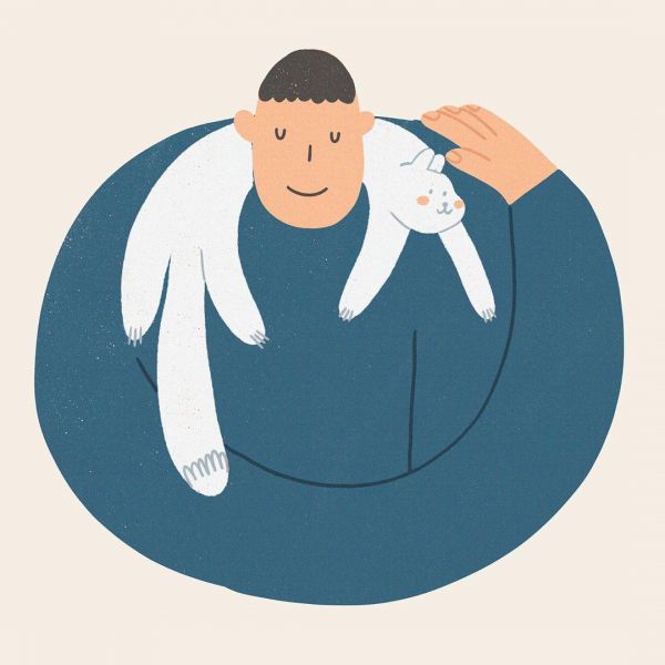 Без кота жизнь не та! Организаторы проекта «Счастье с доставкой на дом» проведут второй онлайн-марафон