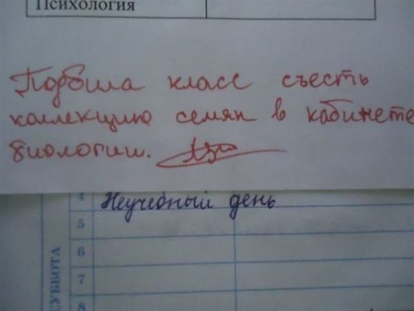 16 записей в дневнике, от смеха можно надорвать живот