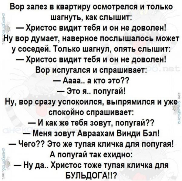 Лучшие анекдоты