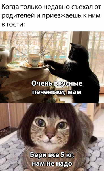 Веселые картинки вечер 15 мая 2020
