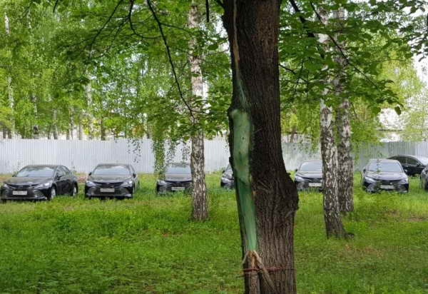 Toyota Camry в лесу Челябинска Toyota Camry в лесу Челябинска