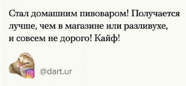 А чему вы научились на карантине?