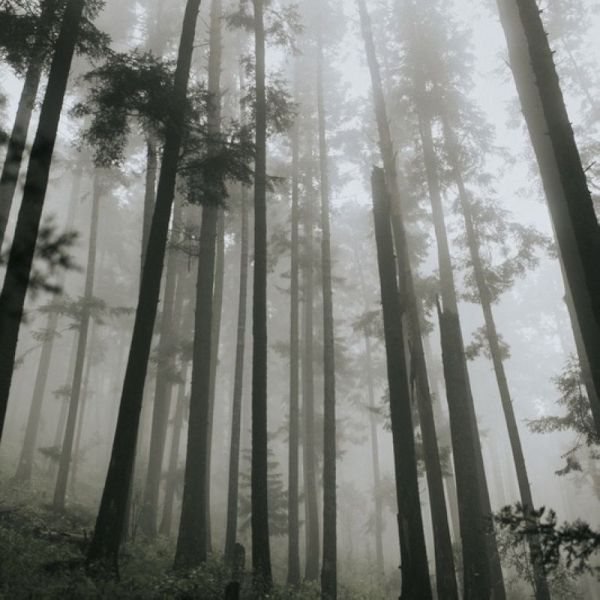 Фотоклиника: Фотографии с терапевтическим эффектом