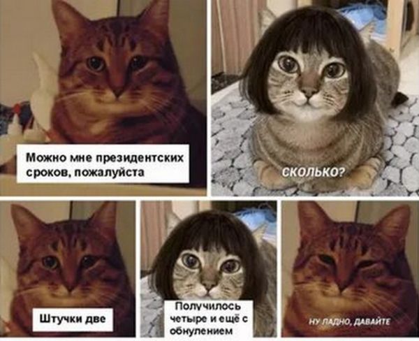 «Обнуляй и властвуй»: лучшие мемы Сети про обнуление президентских сроков Владимира Путина (16 фото) «Обнуляй и властвуй»: лучшие мемы Сети про обнуление президентских сроков Владимира Путина (16 фото)