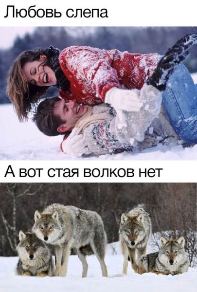 Подборка картинок. Вечерний выпуск (34 фото) - 11.02.2020 Подборка картинок. Вечерний выпуск (34 фото) - 11.02.2020
