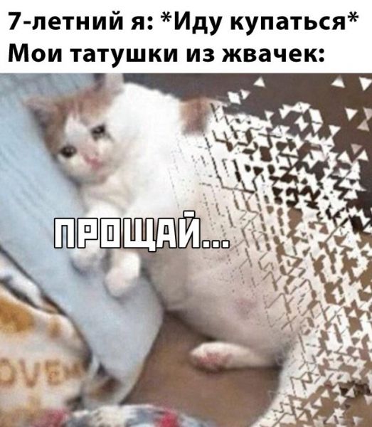 Прикольчики