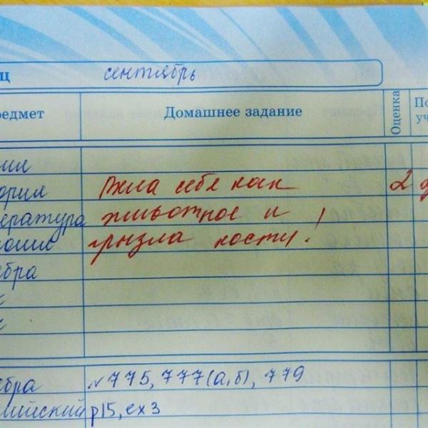 16 записей в дневнике, от смеха можно надорвать живот