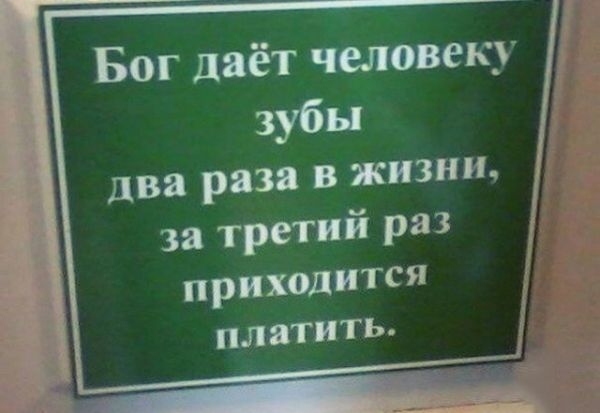 15 объявлений, мимо которых невозможно пройти. Запредельная оригинальность!