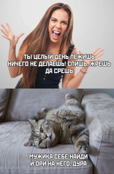 Смешные картинки вечер 10 апреля 2020