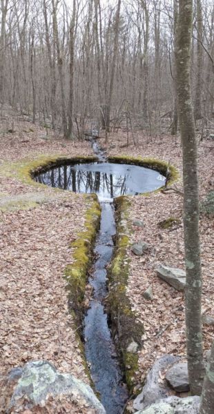 Фотографии из серии «Что это за штука?»