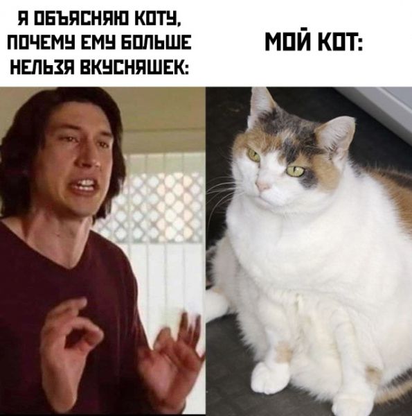 Прикольчики 21.02.20