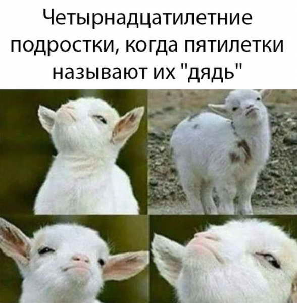 Смешные картинки 20 мая 2020 Смешные картинки 20 мая 2020