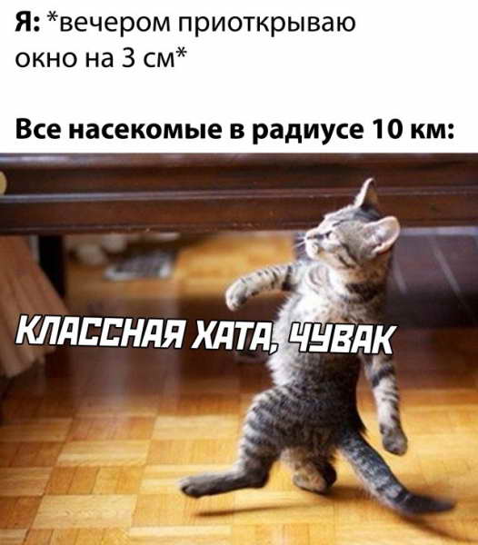 Смешные фото 18 мая 2020 Смешные фото 18 мая 2020