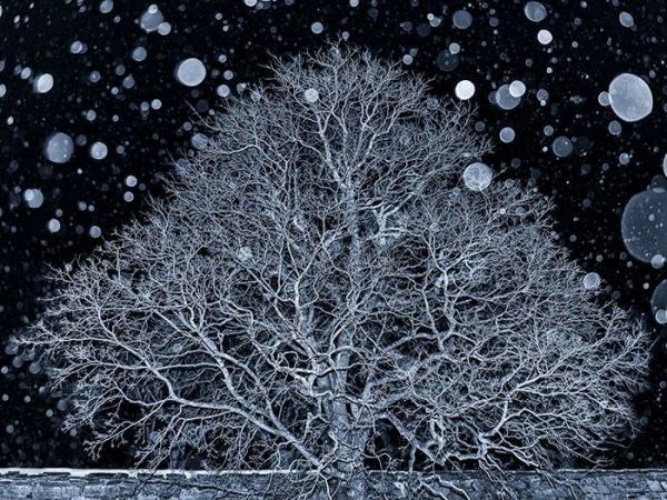 Самые крутые фотографии природы с фотоконкурса «Landscape Photographer of the Year 2018» Самые крутые фотографии природы с фотоконкурса «Landscape Photographer of the Year 2018»