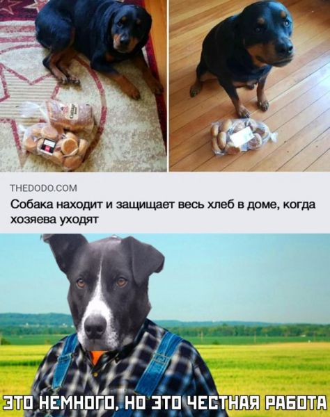 Веселые картинки вечер 10 марта Веселые картинки вечер 10 марта