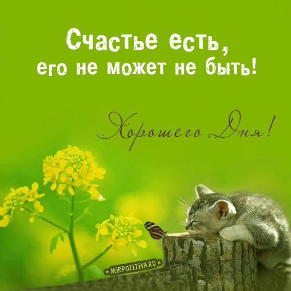 Счастье есть, его не может не быть! Хорошего дня!