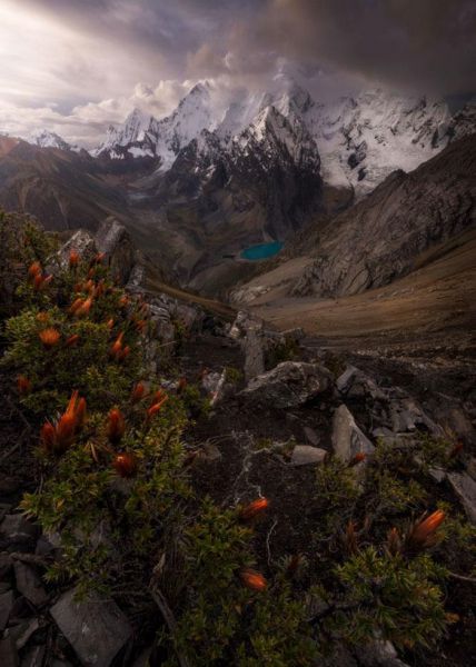 Самые крутые фотографии природы с фотоконкурса «Landscape Photographer of the Year 2018» Самые крутые фотографии природы с фотоконкурса «Landscape Photographer of the Year 2018»