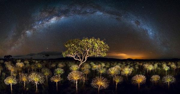 Самые крутые фотографии природы с фотоконкурса «Landscape Photographer of the Year 2018» Самые крутые фотографии природы с фотоконкурса «Landscape Photographer of the Year 2018»