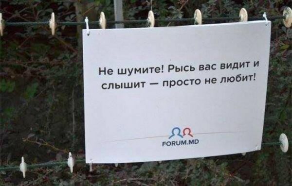 Остроумно и оригинально!